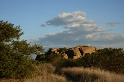 DSC_5561 (Large).JPG